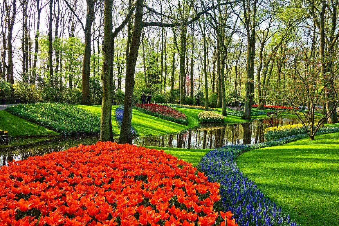 2026复活节假期| 荷兰花季四日游（汉堡往返）